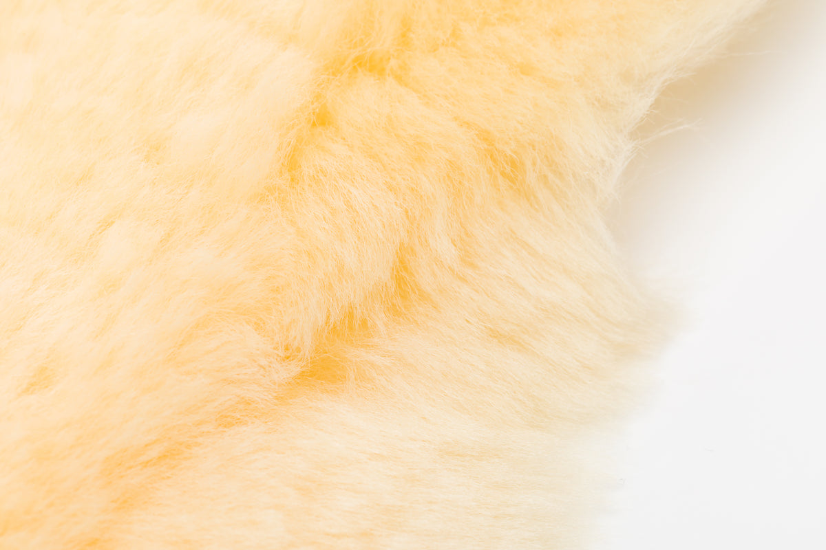 Baby Lambskin